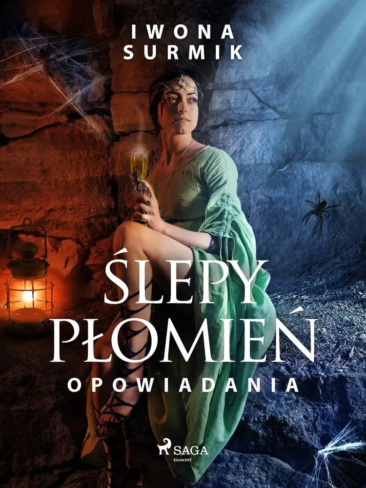 Ślepy płomień af Iwona Surmik