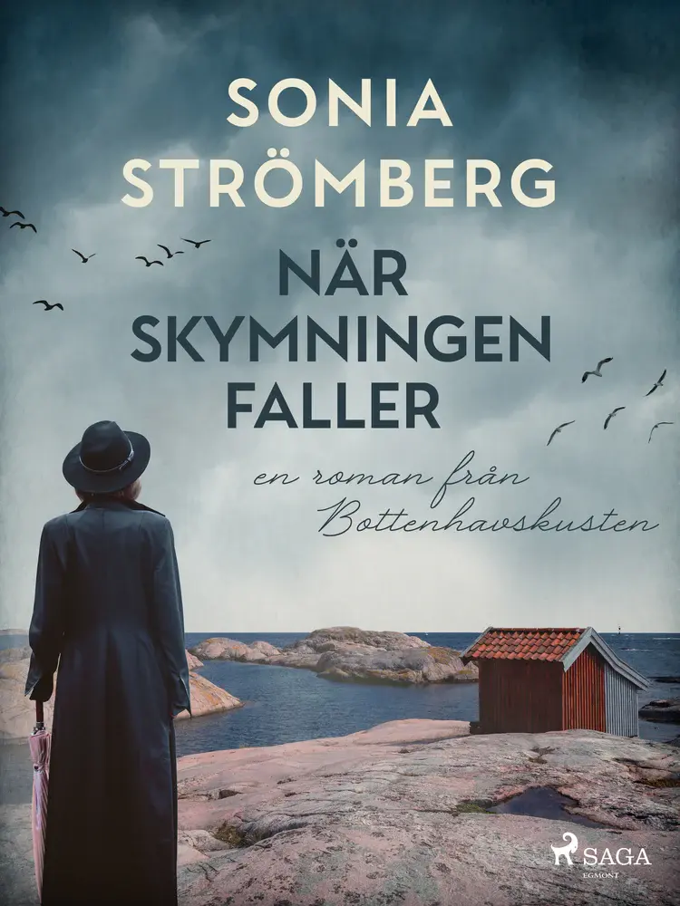 När skymningen faller af Sonia Strömberg