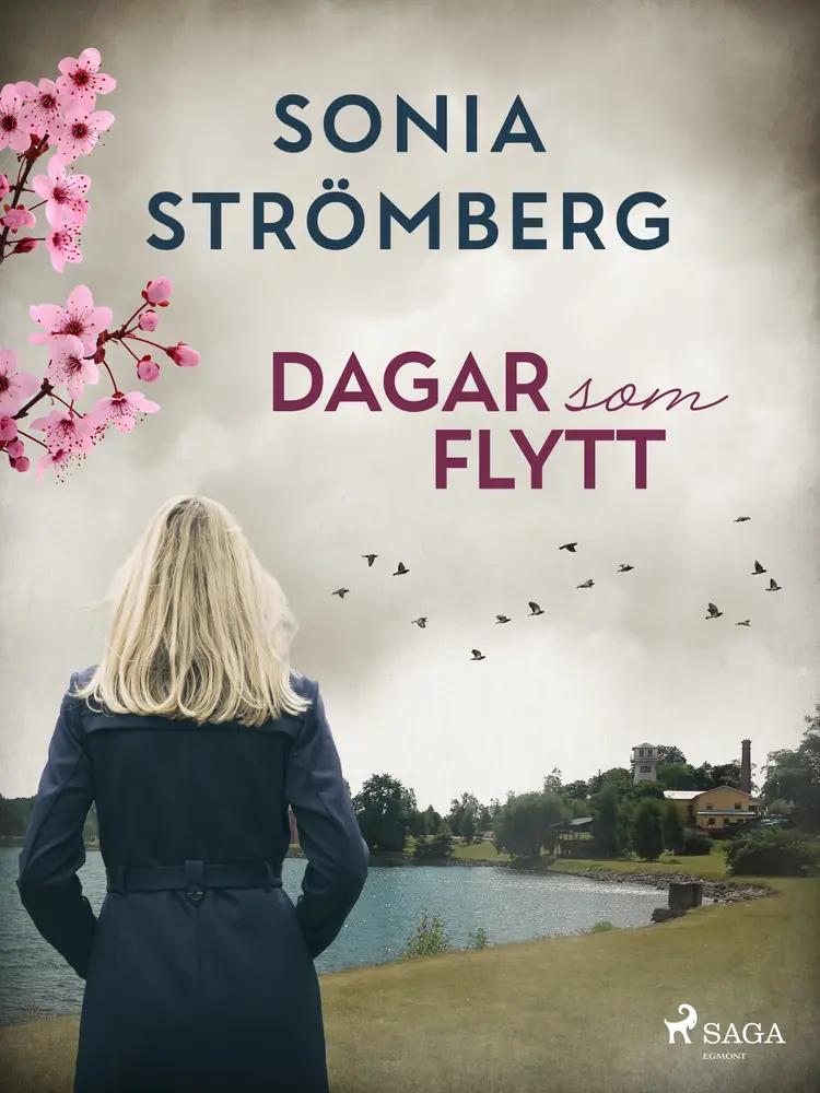 Dagar som flytt af Sonia Strömberg