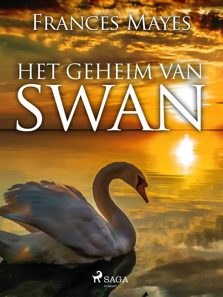 Het geheim van Swan af Frances Mayes