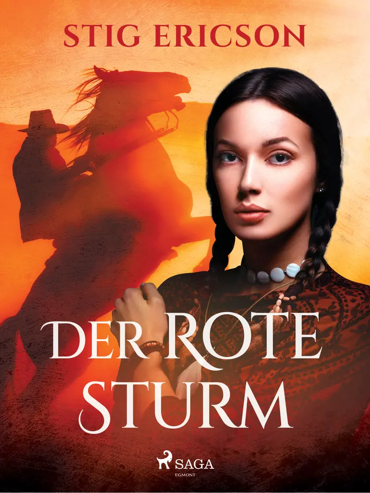 Der rote Sturm af Stig Ericson