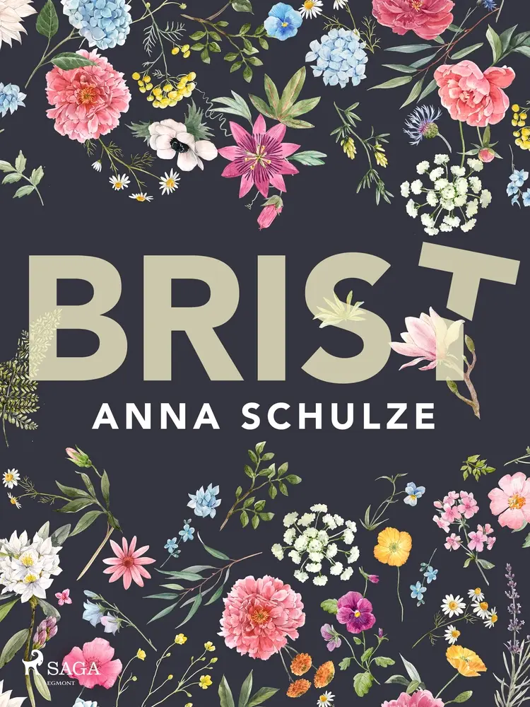 Brist af Anna Schulze