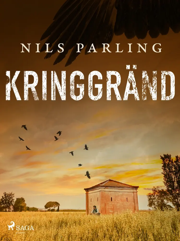 Kringgränd af Nils Parling