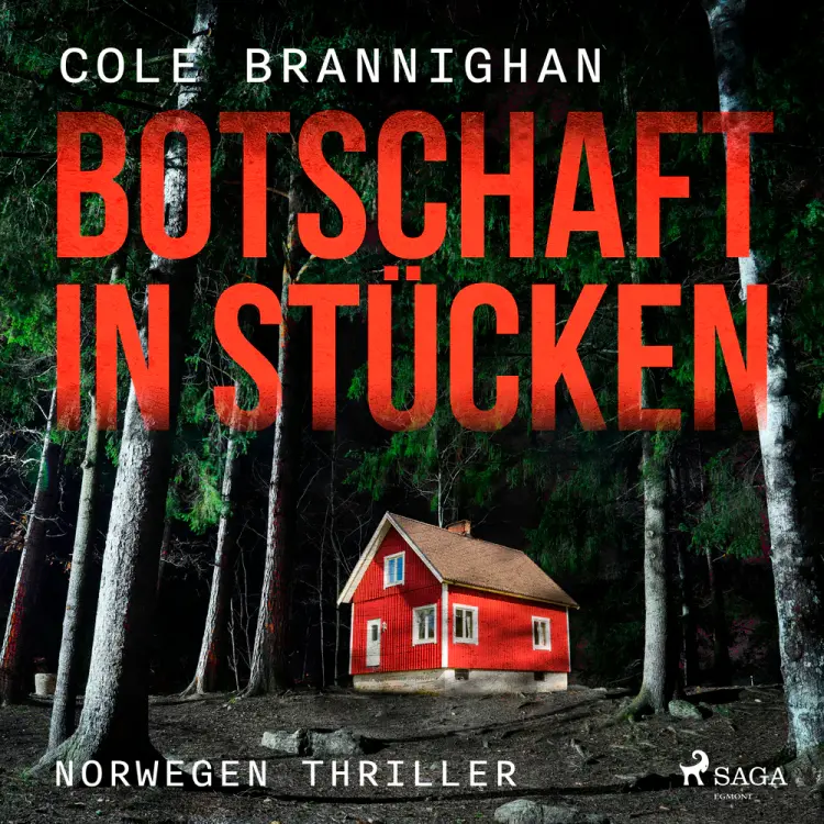 Botschaft in Stücken: Norwegen-Thriller af Cole Branninghan
