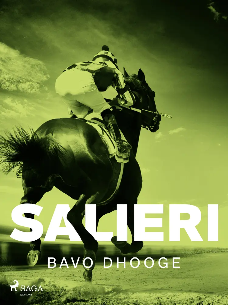 Salieri af Bavo Dhooge