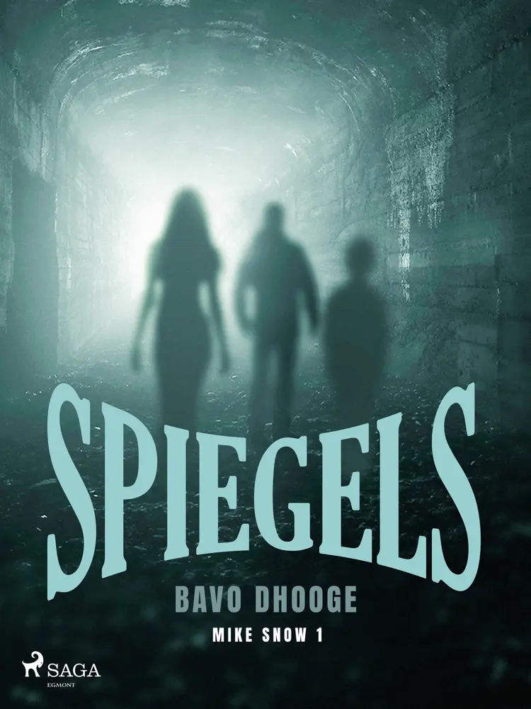 Spiegels af Bavo Dhooge