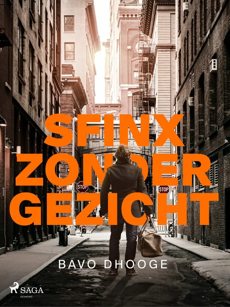Sfinx zonder gezicht af Bavo Dhooge