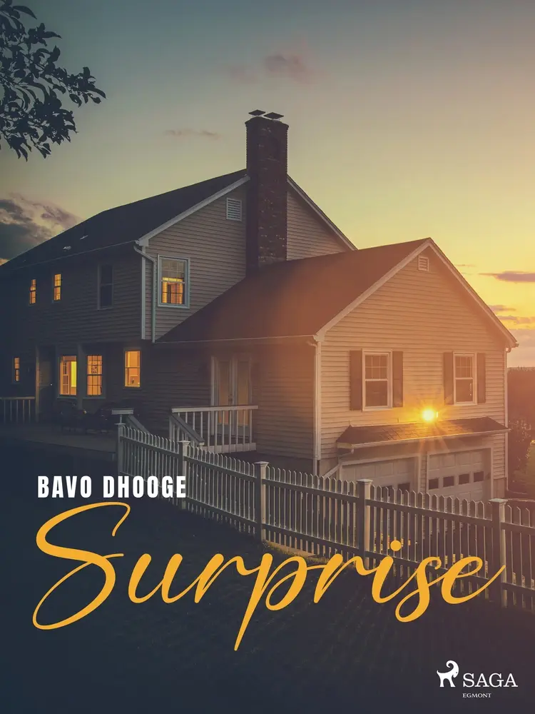 Surprise af Bavo Dhooge