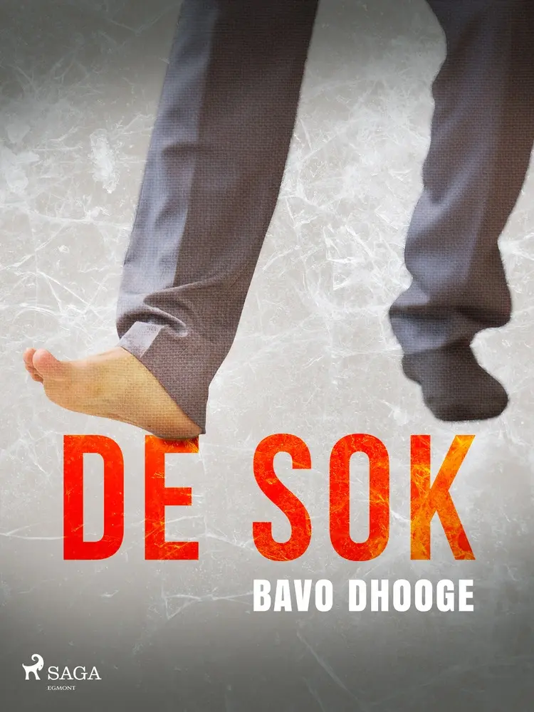 De sok af Bavo Dhooge