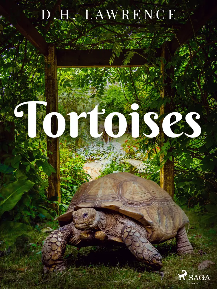Tortoises af D.H. Lawrence