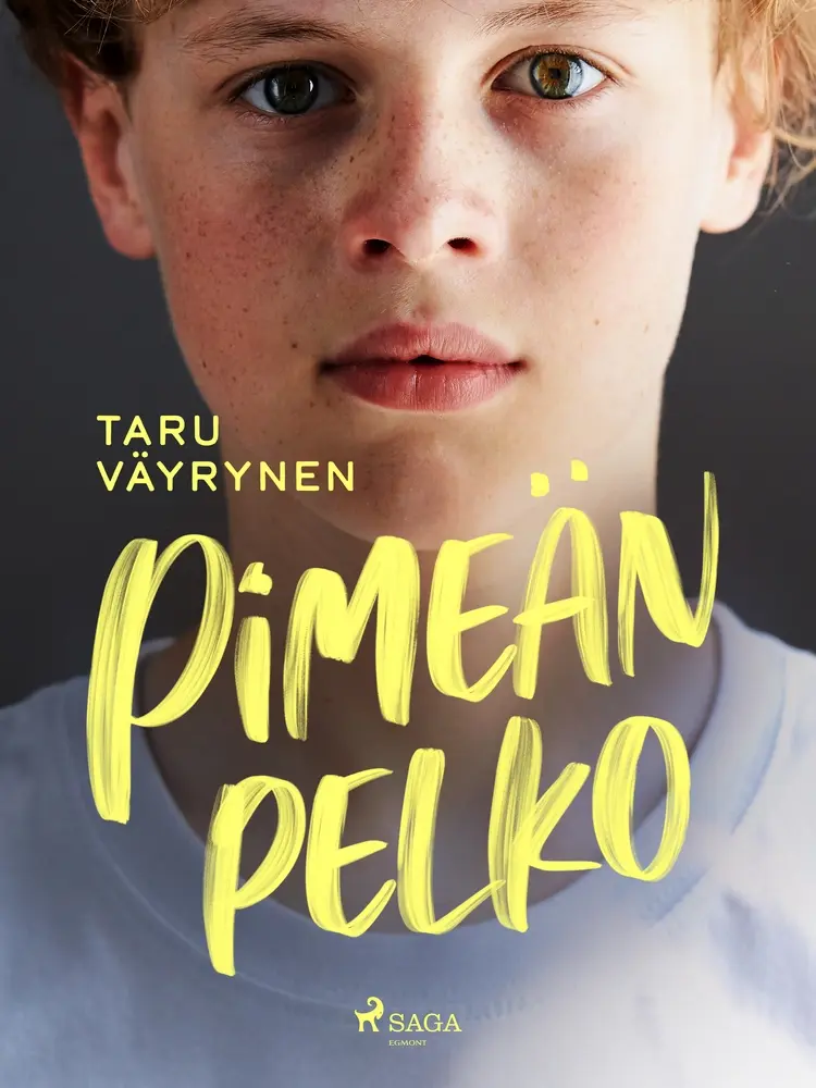 Pimeän pelko af Taru Väyrynen