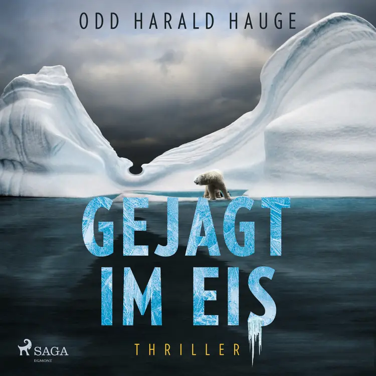 Gejagt im Eis - Thriller af Odd Harald Hauge