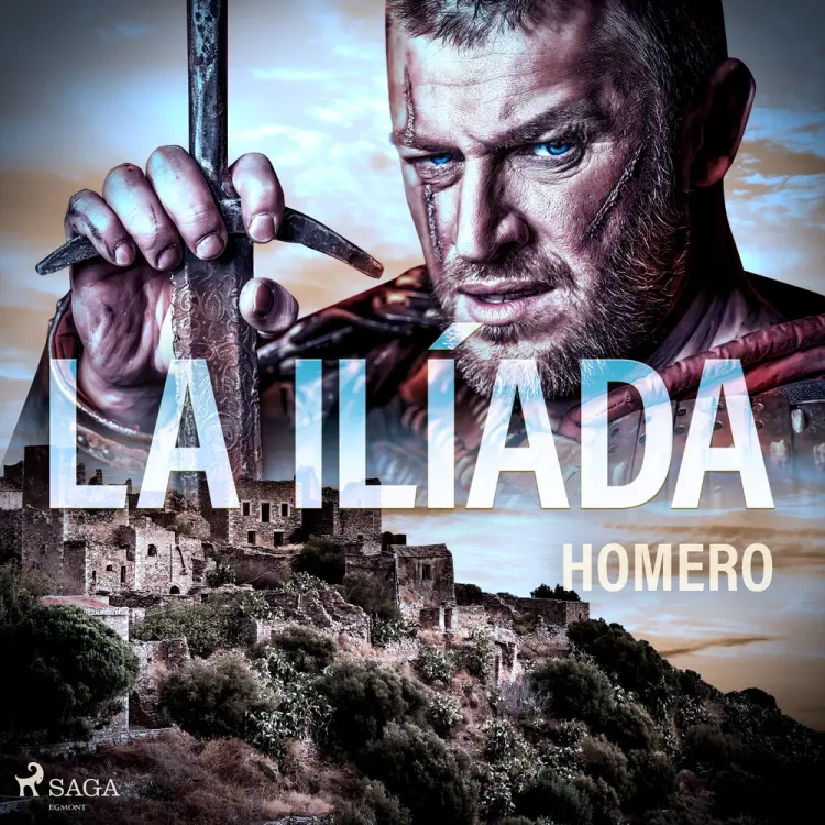 La ilíada af Homer