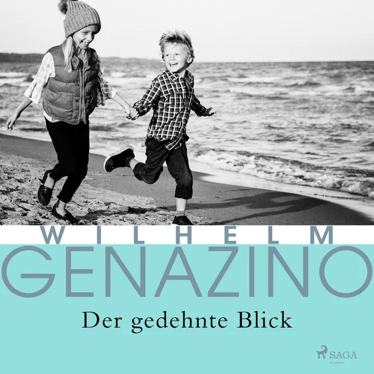 Der gedehnte Blick af Wilhelm Genazino