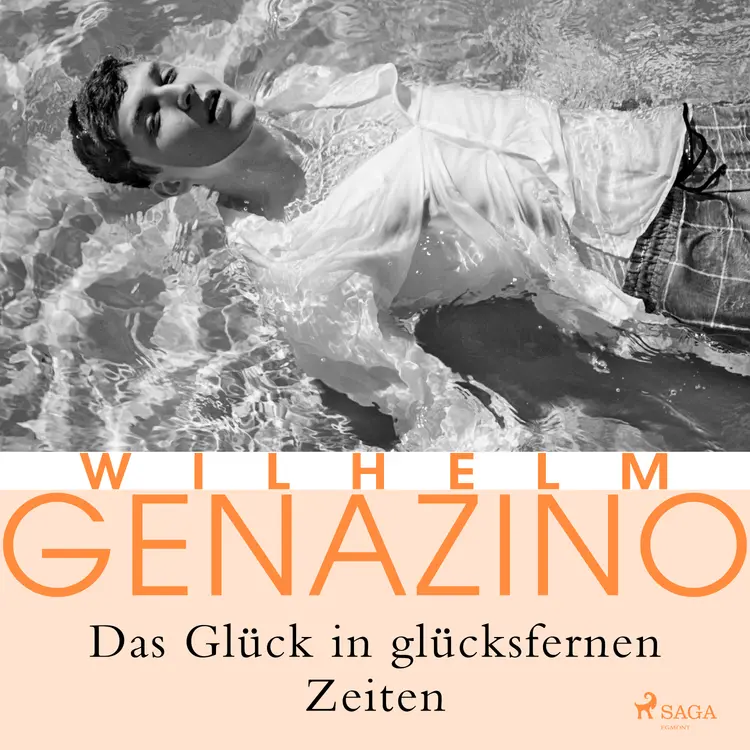 Das Glück in glücksfernen Zeiten af Wilhelm Genazino