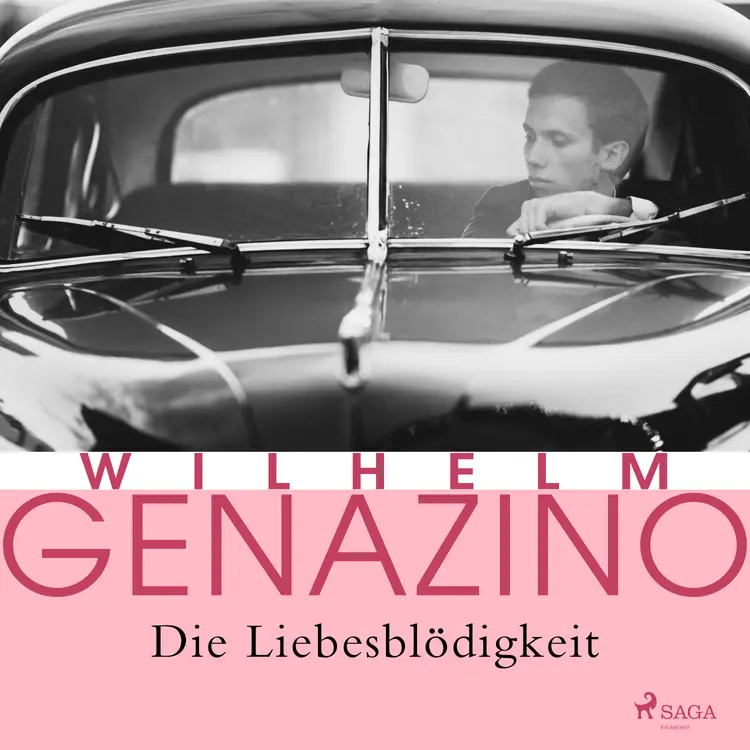 Die Liebesblödigkeit af Wilhelm Genazino