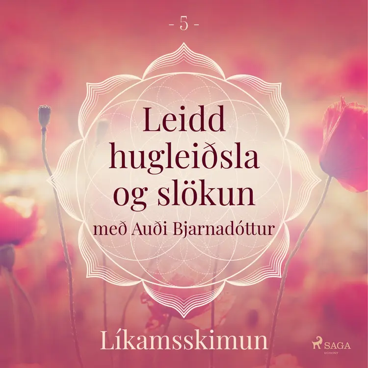 Líkamsskimun af Trine Holt Arnsberg
