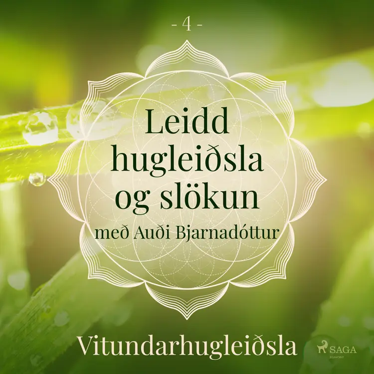 Vitundarhugleiðsla af Trine Holt Arnsberg