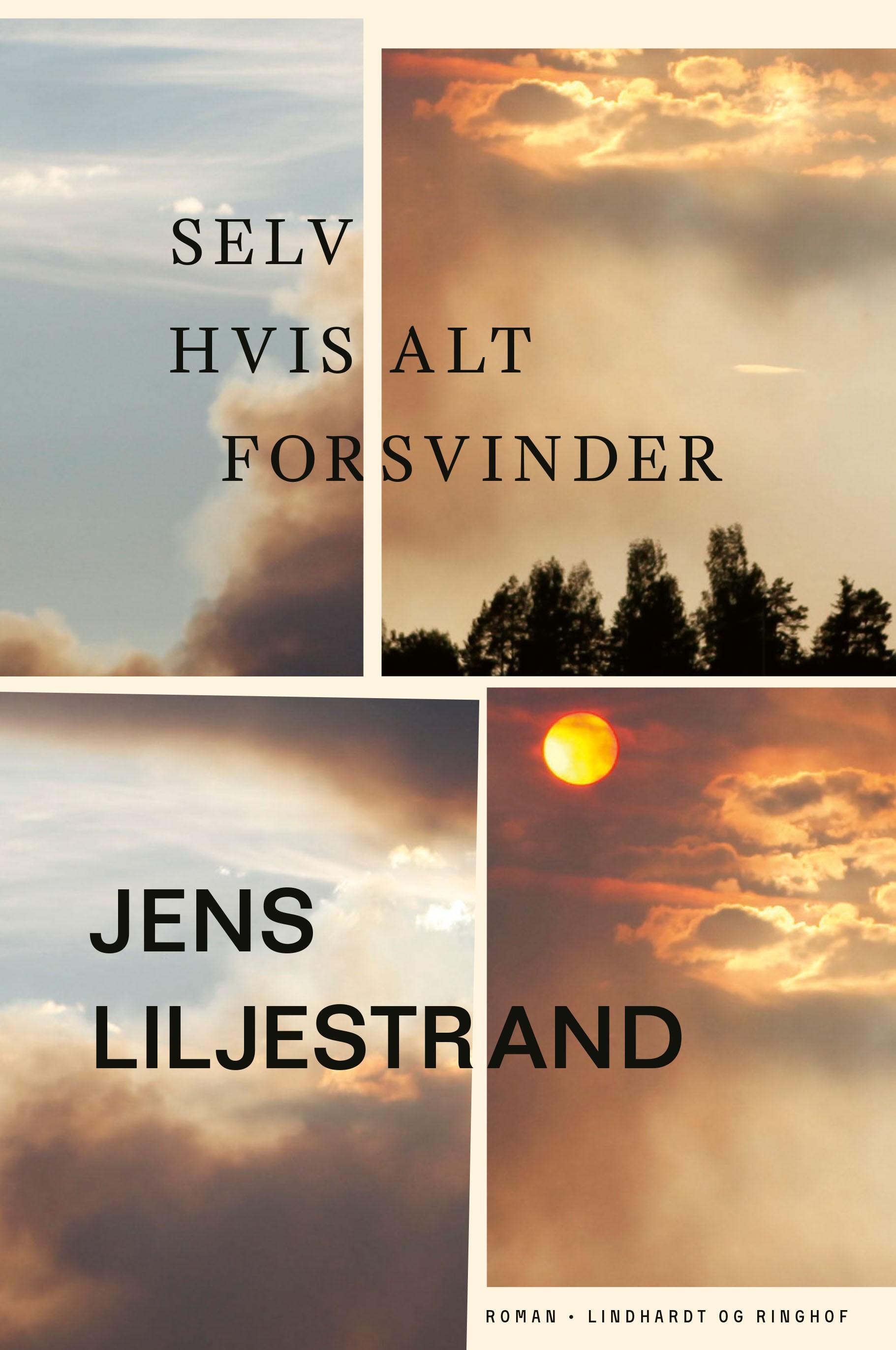 Selv hvis alt forsvinder cover