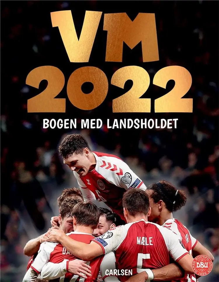 VM 2022 - bogen med herrelandsholdet af Ole Sønnichsen