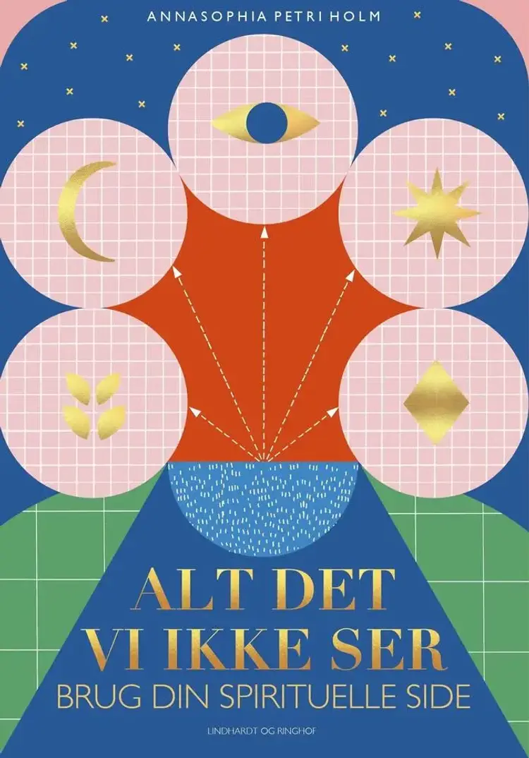Alt det, vi ikke ser af Annasophia Petri