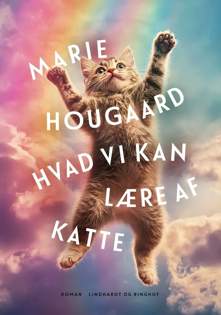 Hvad vi kan lære af katte af Marie Hougaard