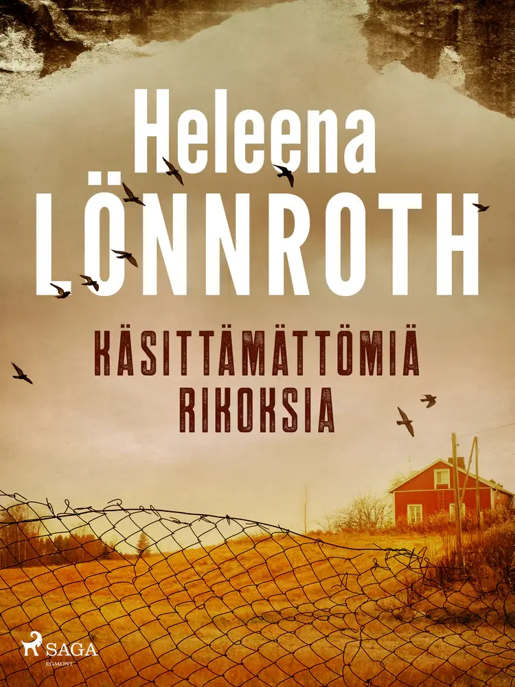 Käsittämättömiä rikoksia af Heleena Lönnroth