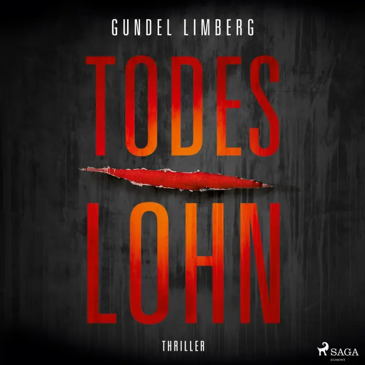 Todeslohn: Thriller af Gundel Limberg