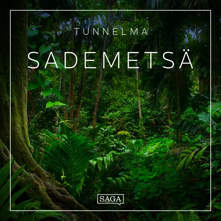Tunnelma - Sademetsä af Rasmus Broe
