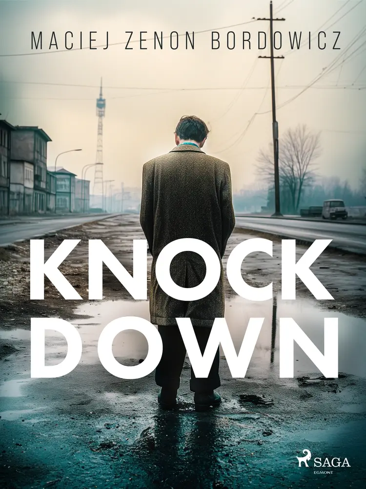 Knockdown af Maciej Zenon Bordowicz