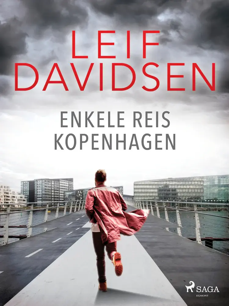 Enkele reis Kopenhagen af Leif Davidsen