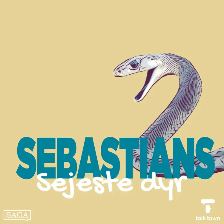 Den sorte mamba af Sebastian Klein