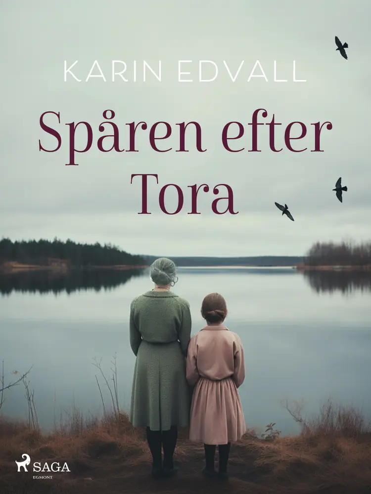 Spåren efter Tora af Karin Edvall