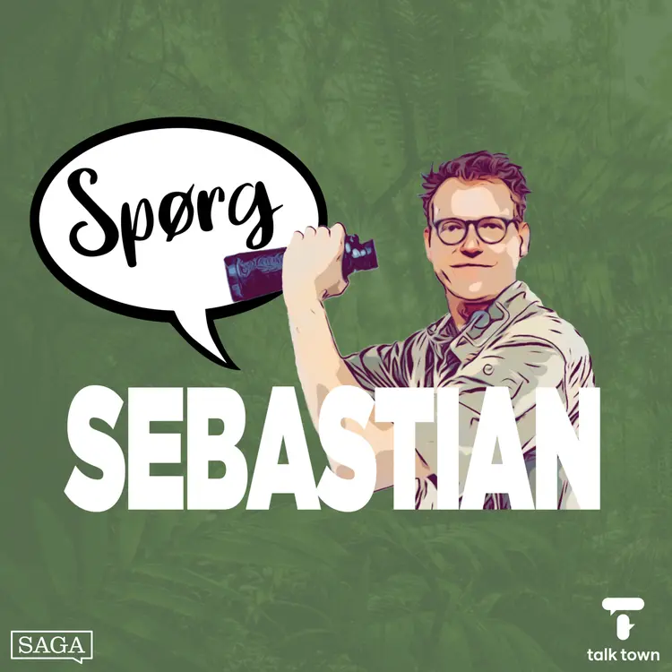 Hvorfor ser havdyrene ud, som de gør? af Sebastian Klein