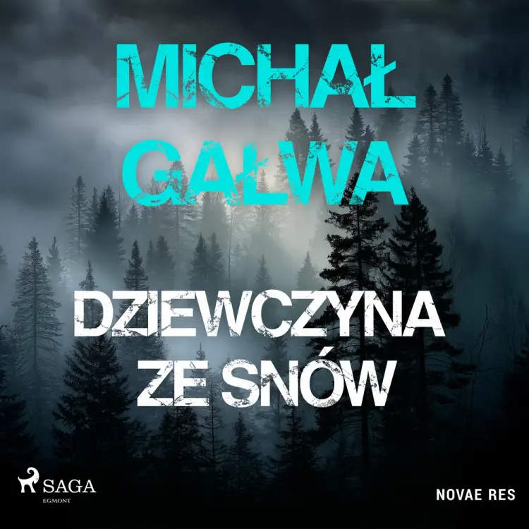 Dziewczyna ze snów af Michał Gałwa
