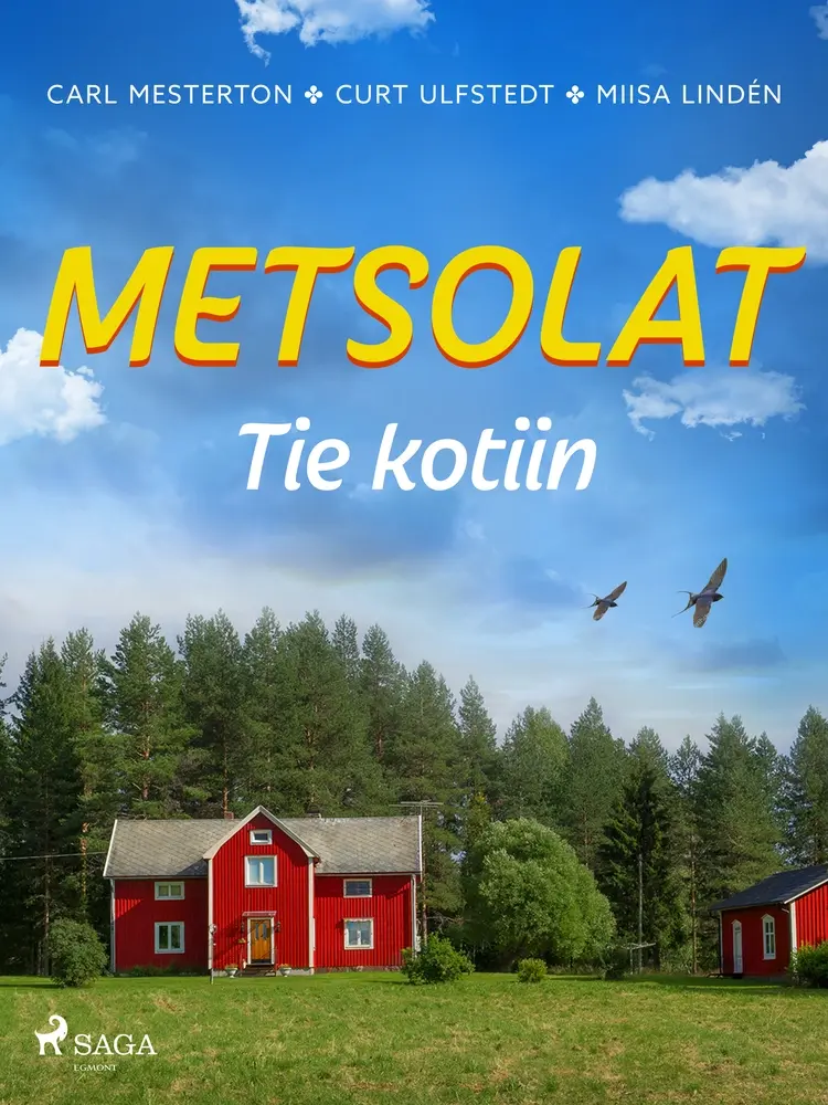 Tie kotiin af Curt Ulfstedt