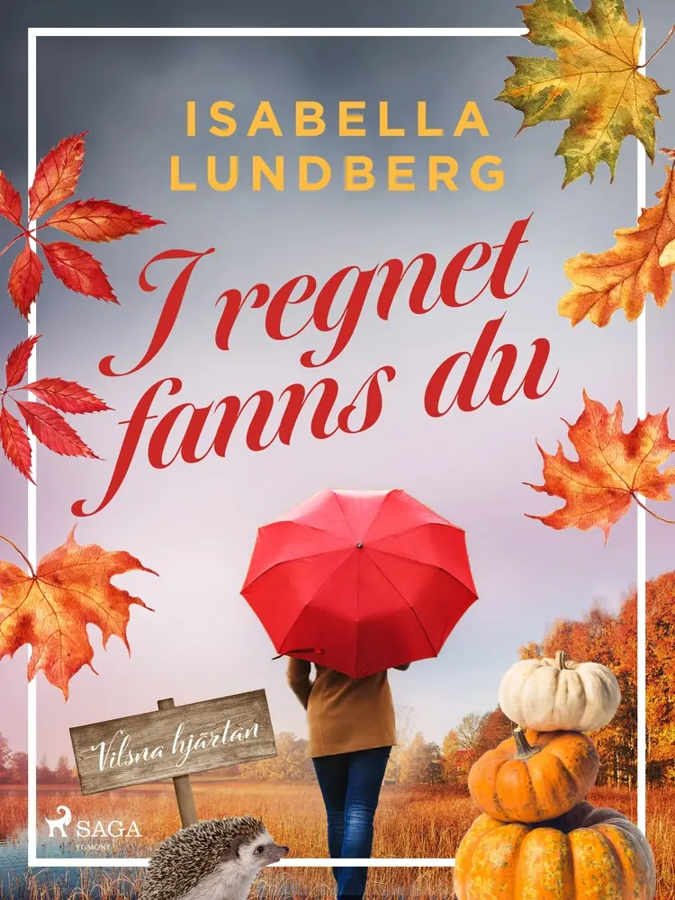 I regnet fanns du af Isabella Lundberg