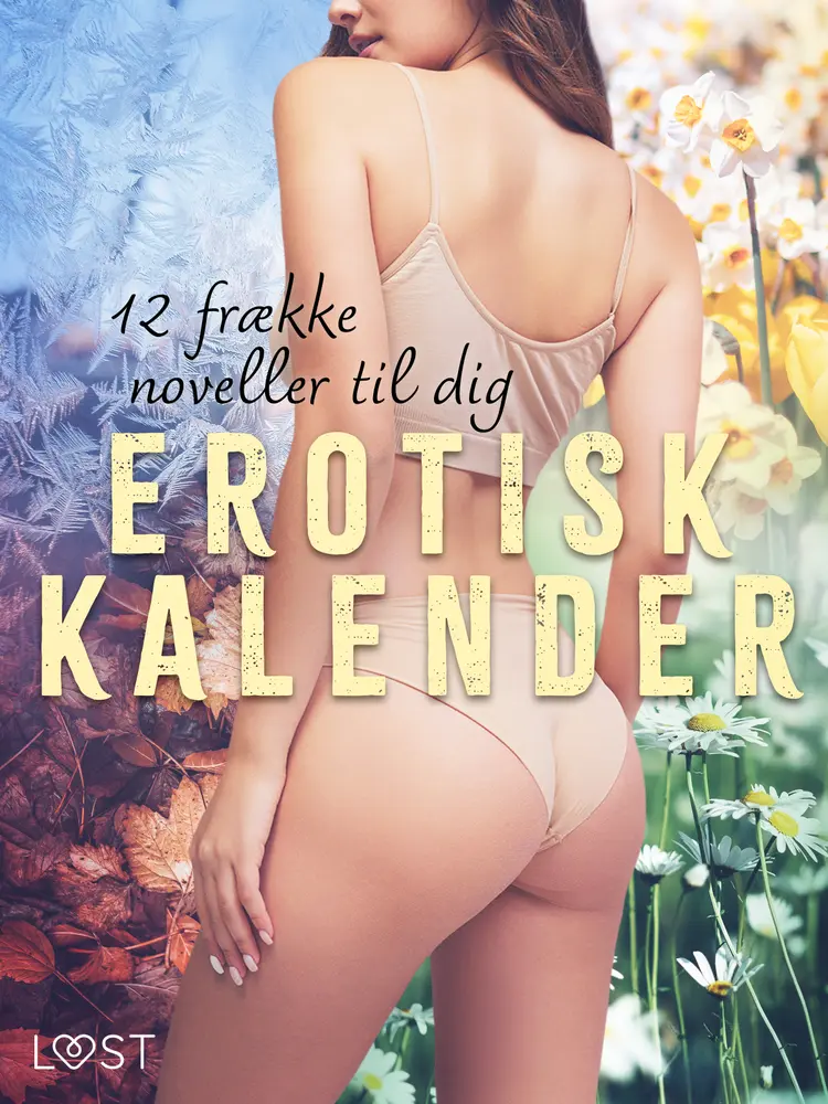Erotisk kalender - 12 frække noveller til dig af Lisa Vild