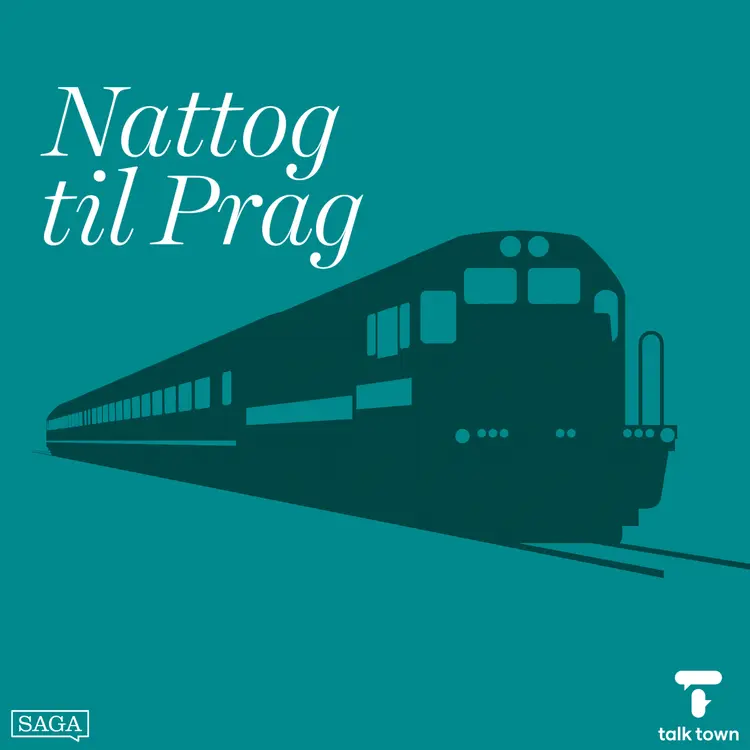Nattog til Prag af Flemming Emil Hansen