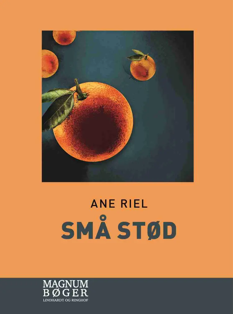 Små stød af Ane Riel