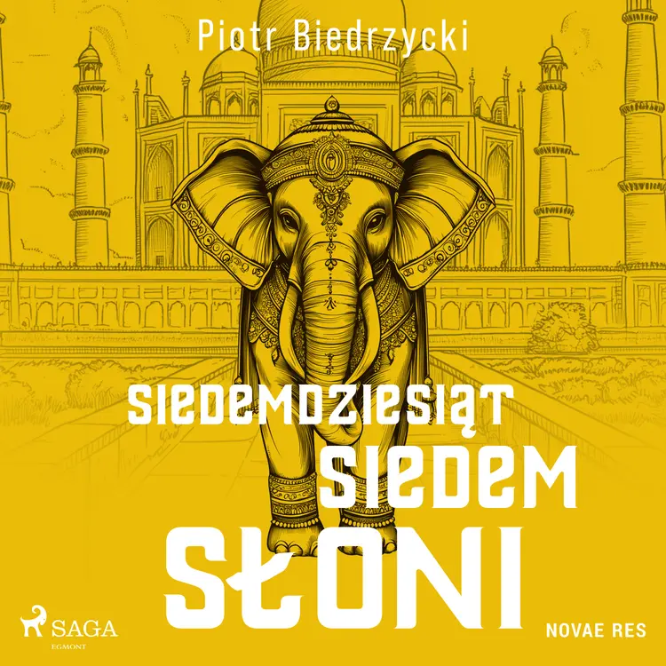 Siedemdziesiąt siedem słoni af Piotr Biedrzycki