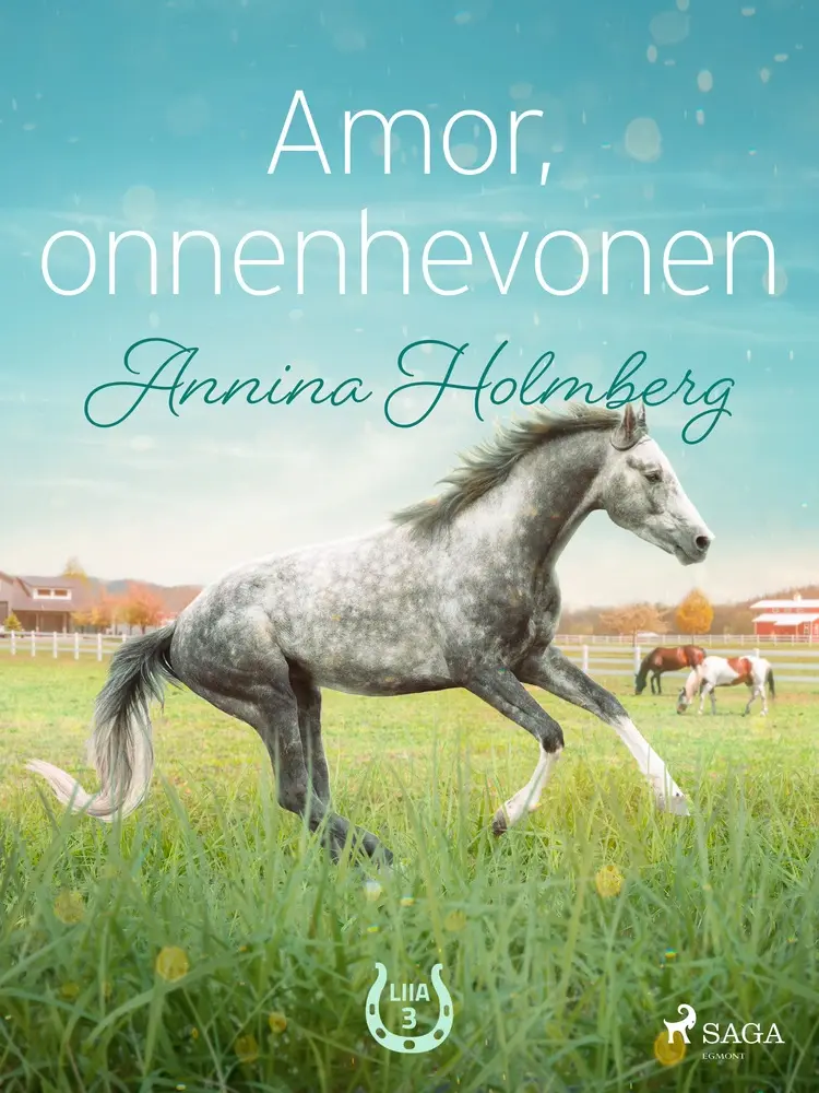 Amor, onnenhevonen af Annina Holmberg