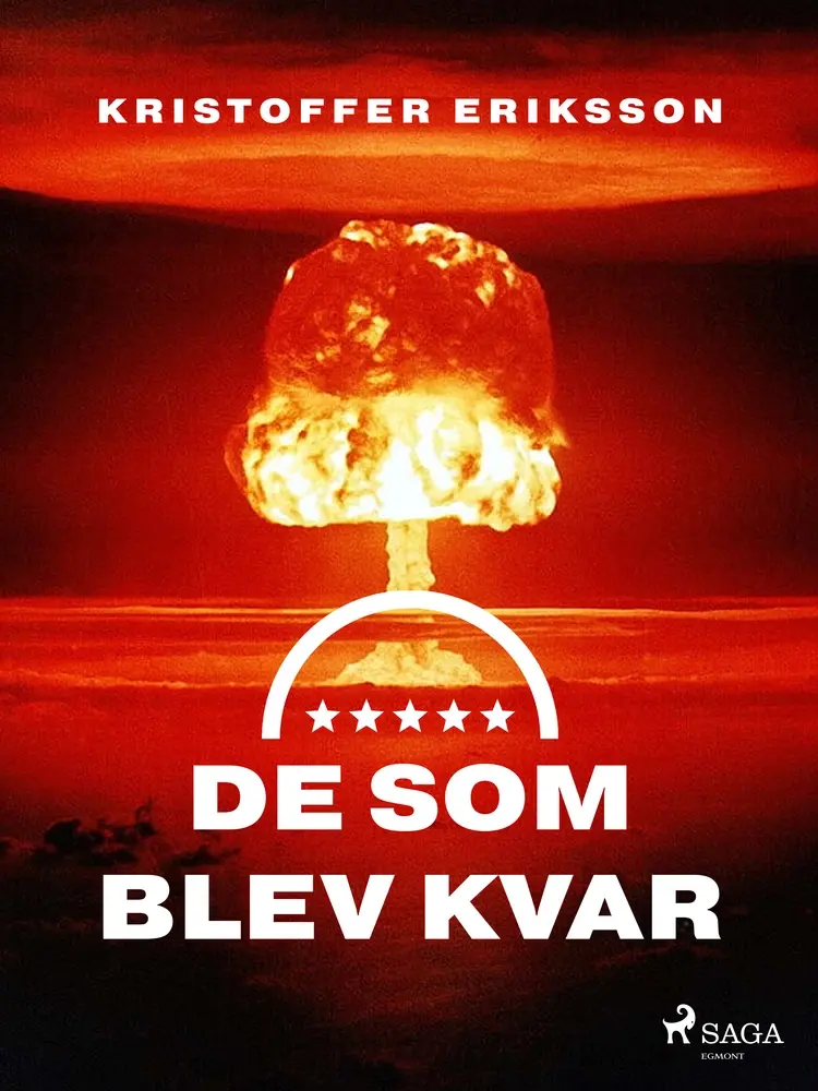 De som blev kvar af Kristoffer Eriksson