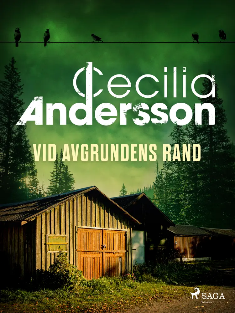 Vid avgrundens rand af Cilla Ingeborg