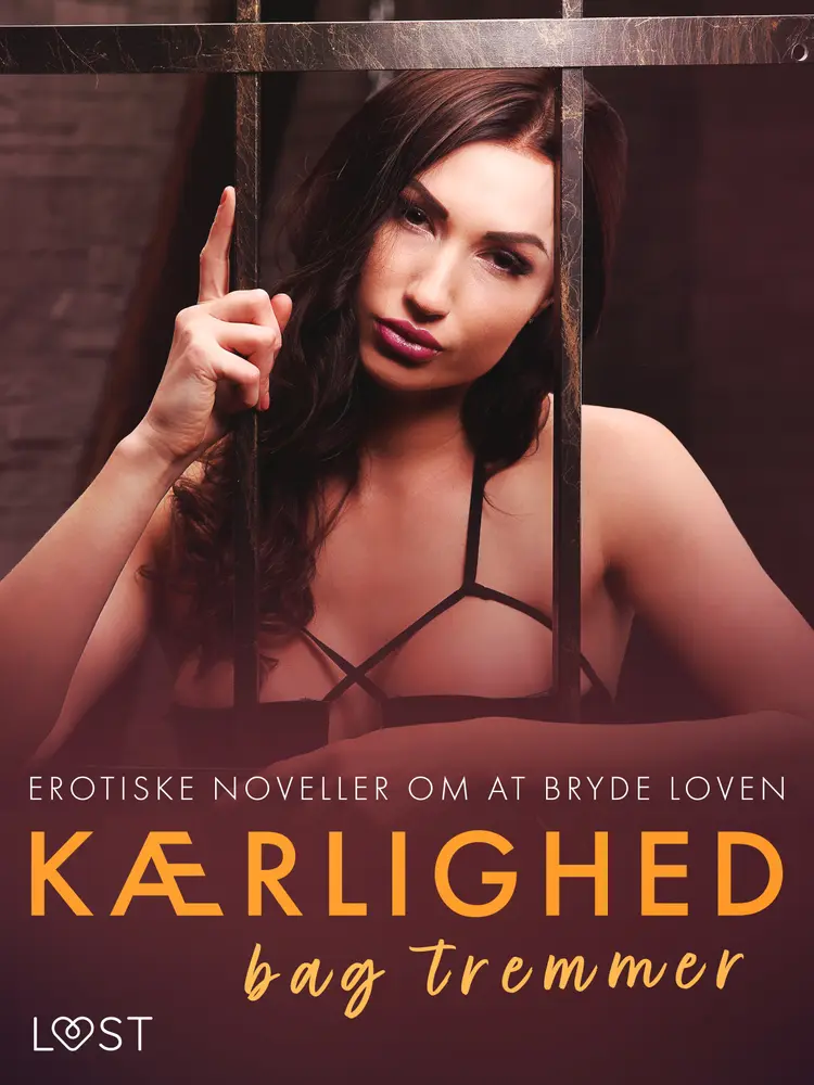 Kærlighed bag tremmer - erotiske noveller om at bryde loven af Christina Tempest
