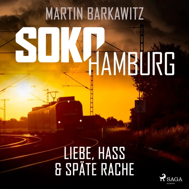 SoKo Hamburg: Liebe, Hass & späte Rache (Ein Fall für Heike Stein, Band 10) af Martin Barkawitz