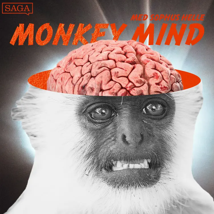 Monkey Mind af Sophus Helle