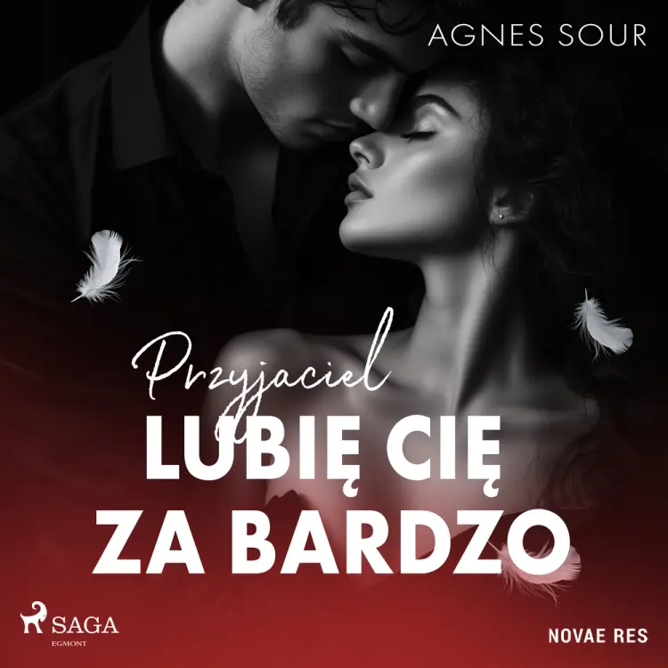 Przyjaciel. Lubię cię za bardzo af Agnes Sour