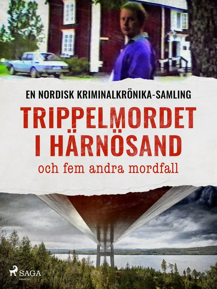Trippelmordet i Härnösand och fem andra mordfall af Diverse