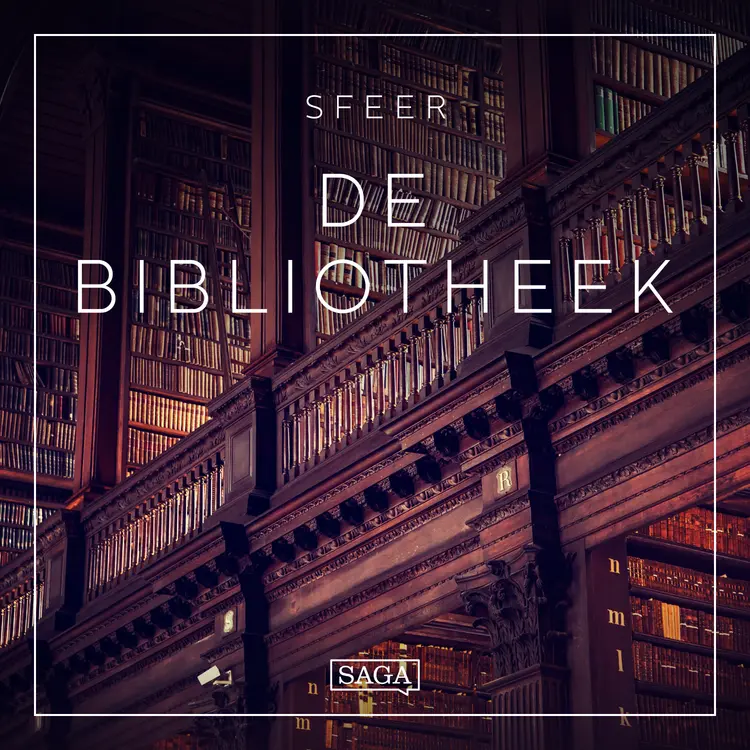 Sfeer - De bibliotheek af Rasmus Broe